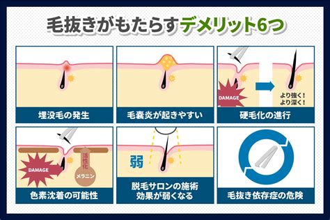 陰部 毛